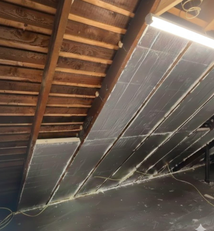 Untitled design (22)