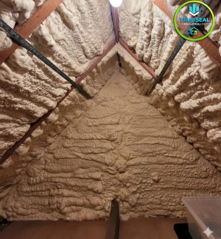 Untitled design (25)