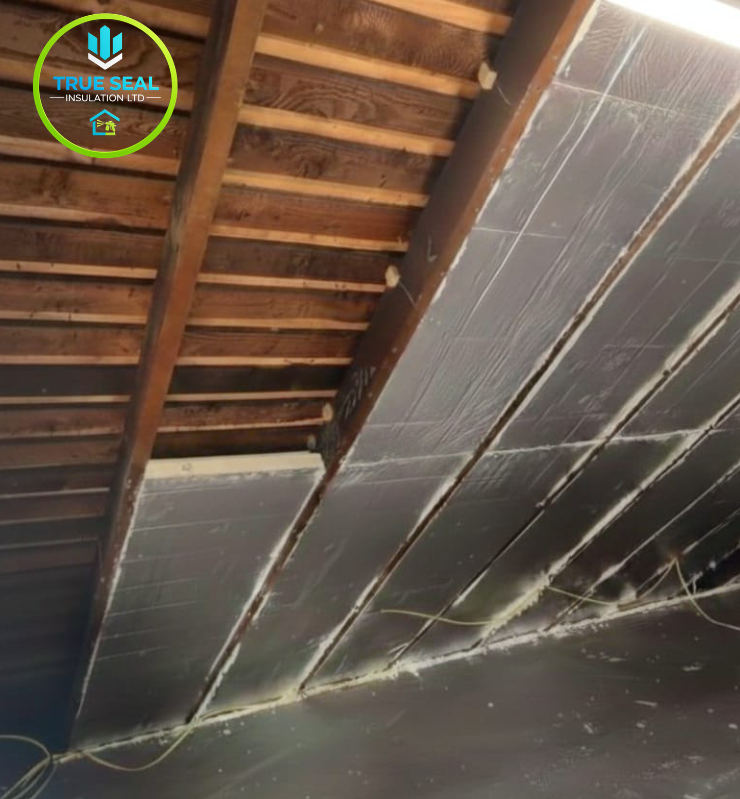 Untitled design (27)