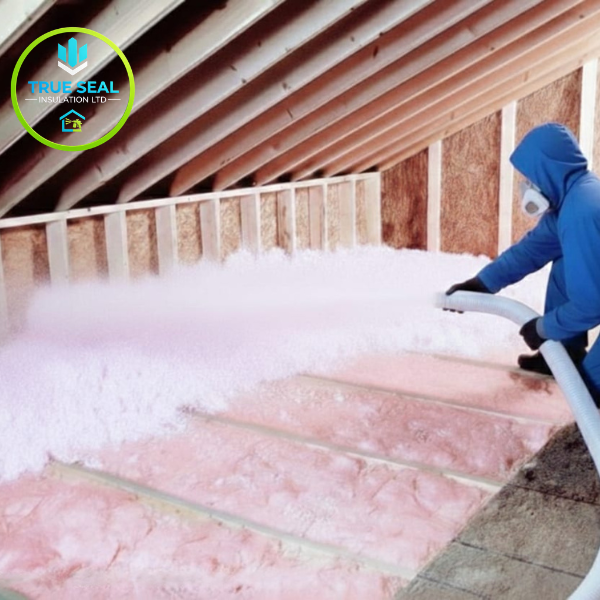 Untitled design (47)