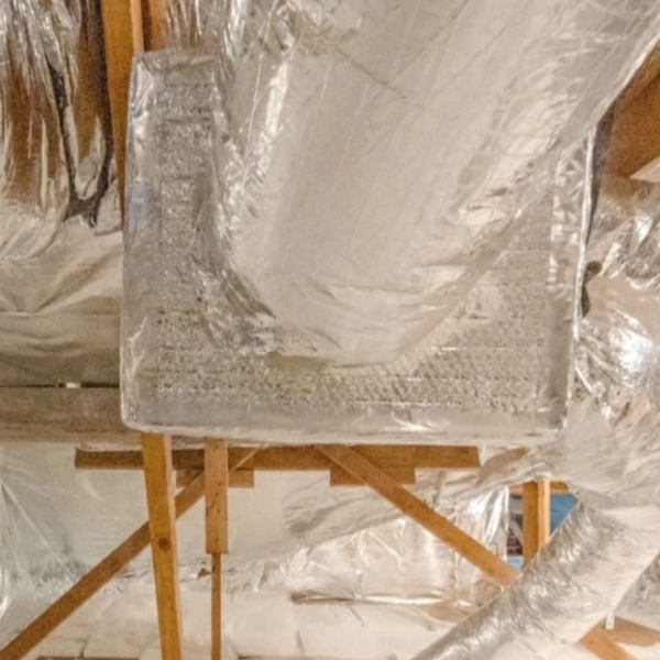 Untitled design (48)