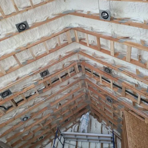 Untitled design (56)