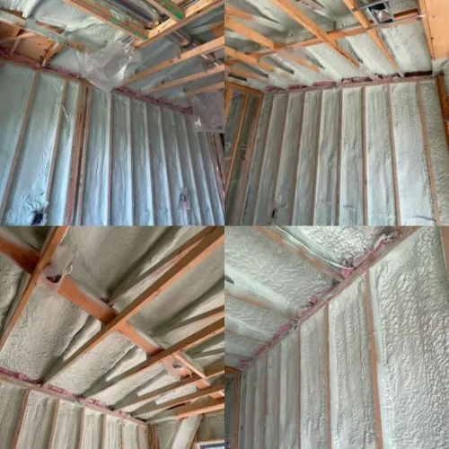 Untitled design (59)