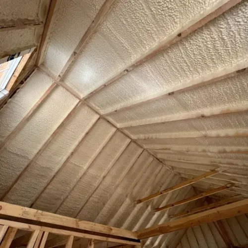 Untitled design (61)