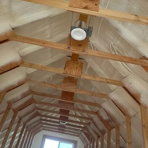 Untitled design (68)