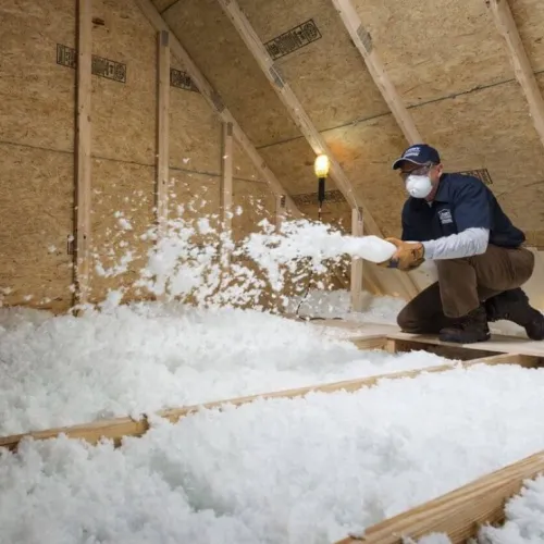 Untitled design (69)