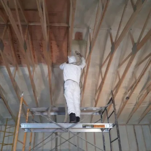 Untitled design (78)